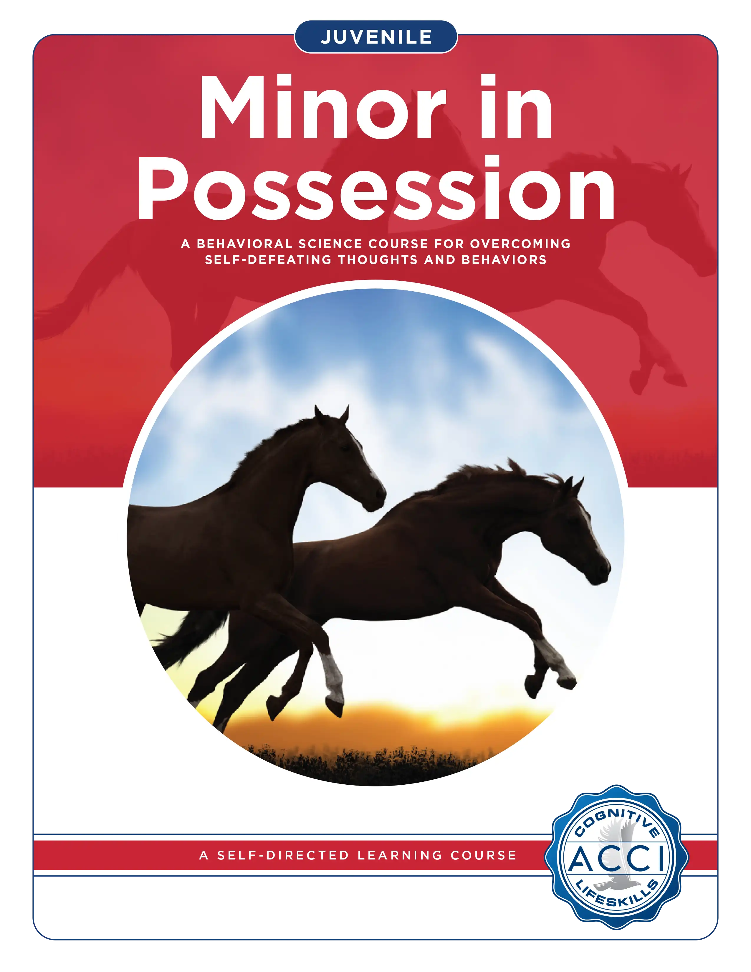 Youth Minor in Possession