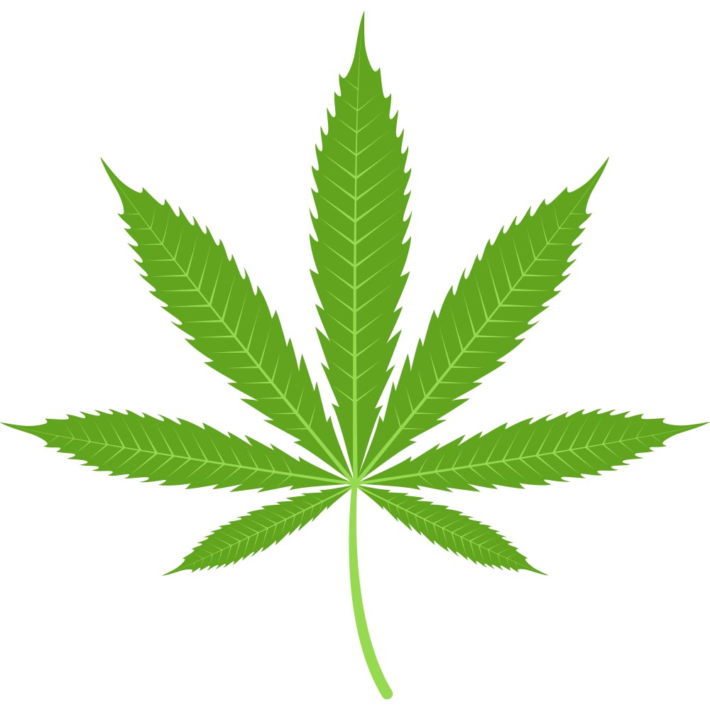 Marijuana Prevention